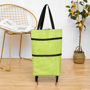 Folding Shopping Trolly Bags