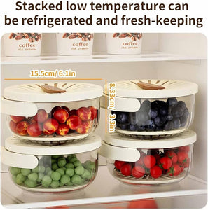 Multifunctional Fruit And Vegetable Washing Bowl