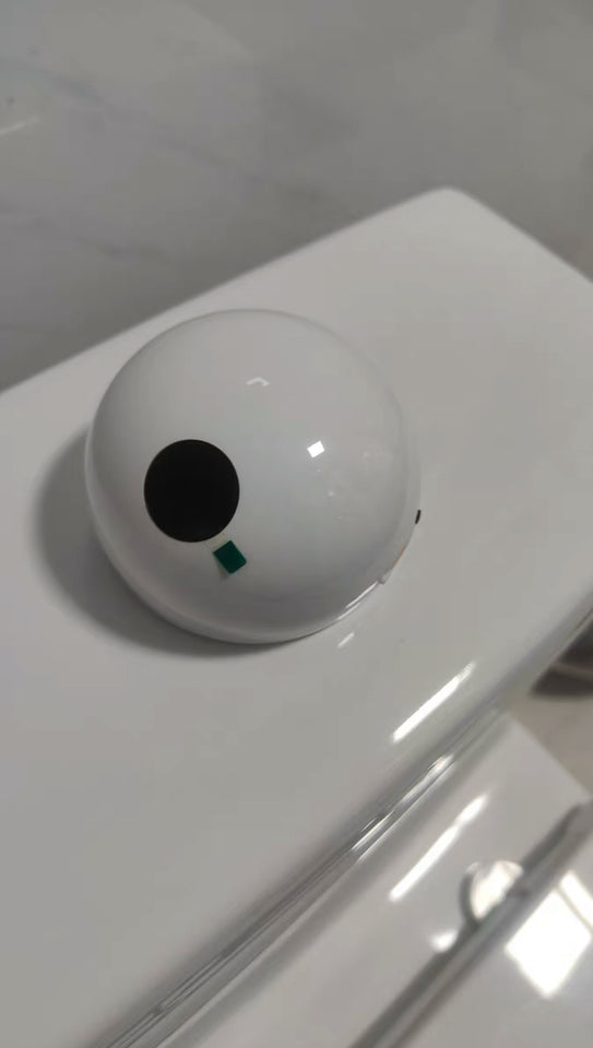 Automatic toilet flush button